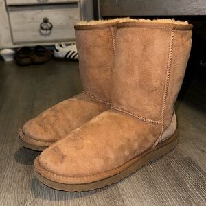 Women's Classic Short II in Chestnut